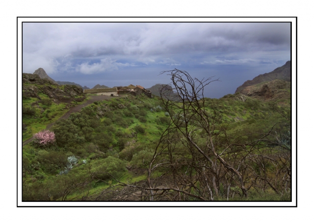 IMG_2577 site.jpg